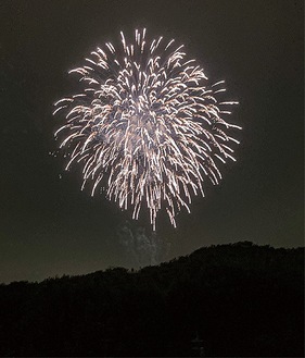 夜空を彩った花火＝緑園神明台公園で撮影