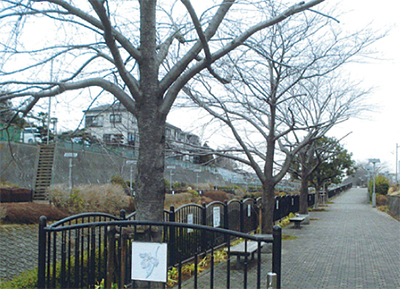 いずみ中央〜いずみ野