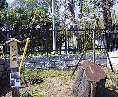 下飯田〜密蔵院