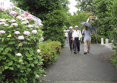 アジサイ遊歩道―西が岡―