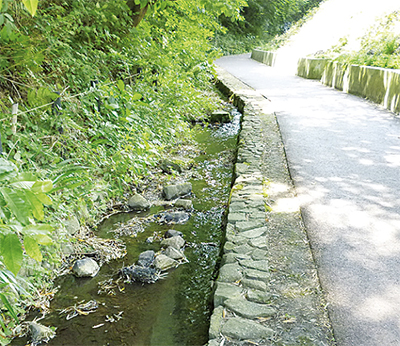 弥生台駅北口からの清涼散歩