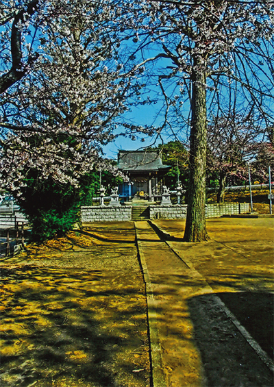 川沿いの神社と寺巡り
