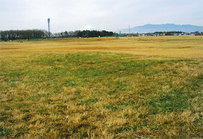 区境外周をひとまわり