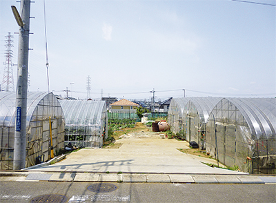 中田駅からのんびり散歩