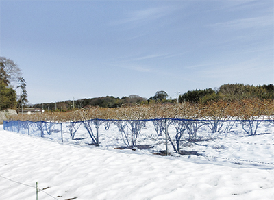 いずみ中央駅から　くるくる回して和泉川を北へ