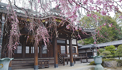 観音寺（かんのんじ）
