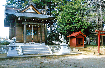 "午年の馬に思う"散歩