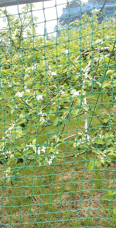 弥生台駅〜緑園都市駅まで