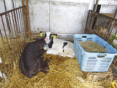 いずみ野駅からくるっと一回り