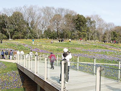 里山ガーデンが春の公開へ