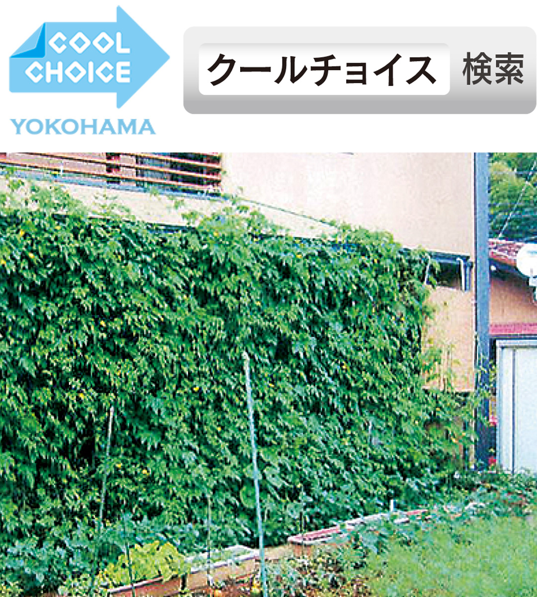 涼しさのヒミツ グリーンカーテンのススメ 横浜市資源循環局３ｒ推進課 保土ケ谷区 タウンニュース