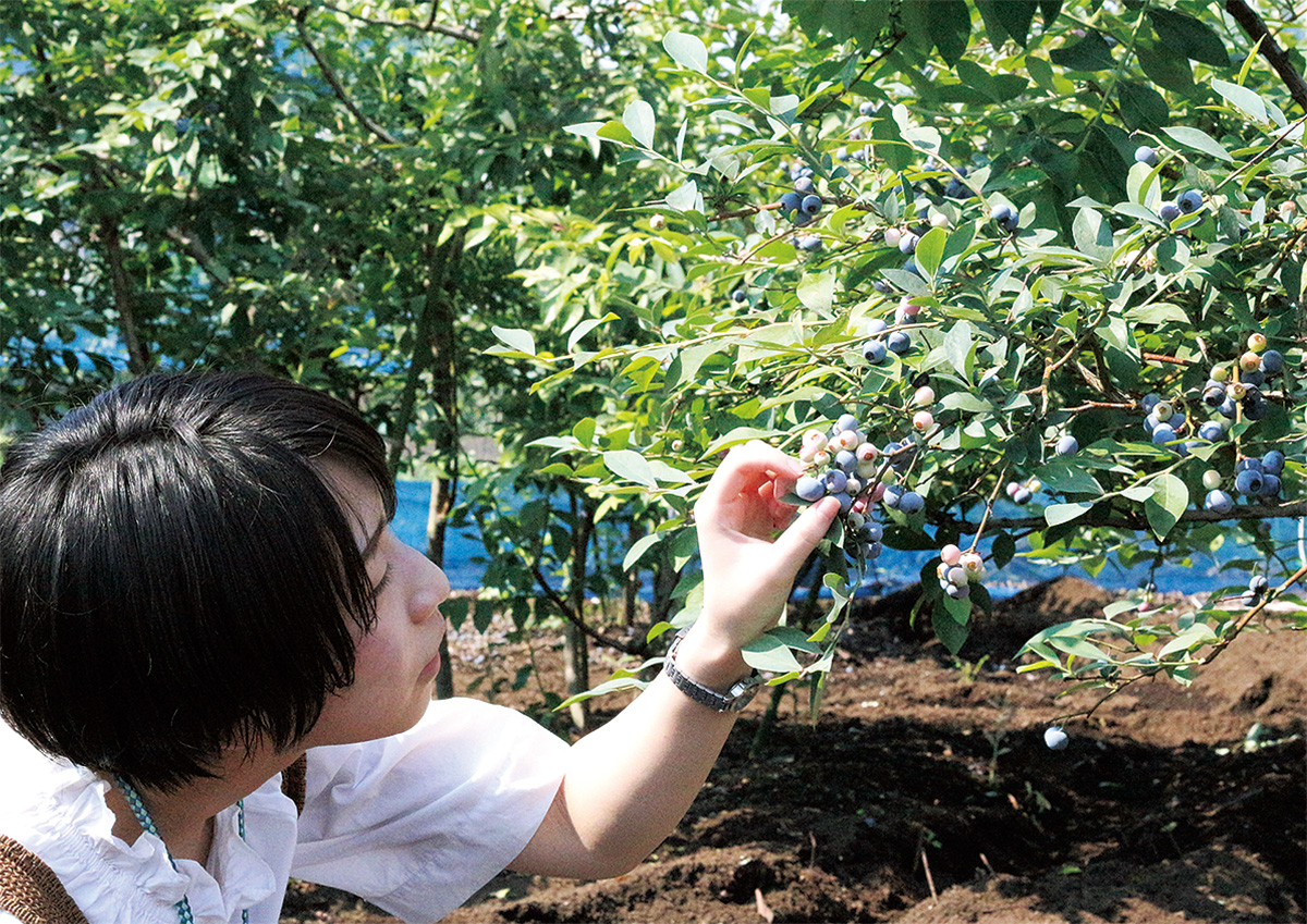 #住むなら泉区(6) (写真2)