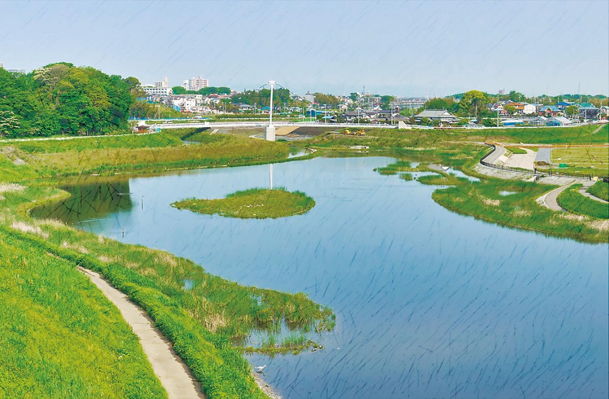 境川 遊水 地 公園