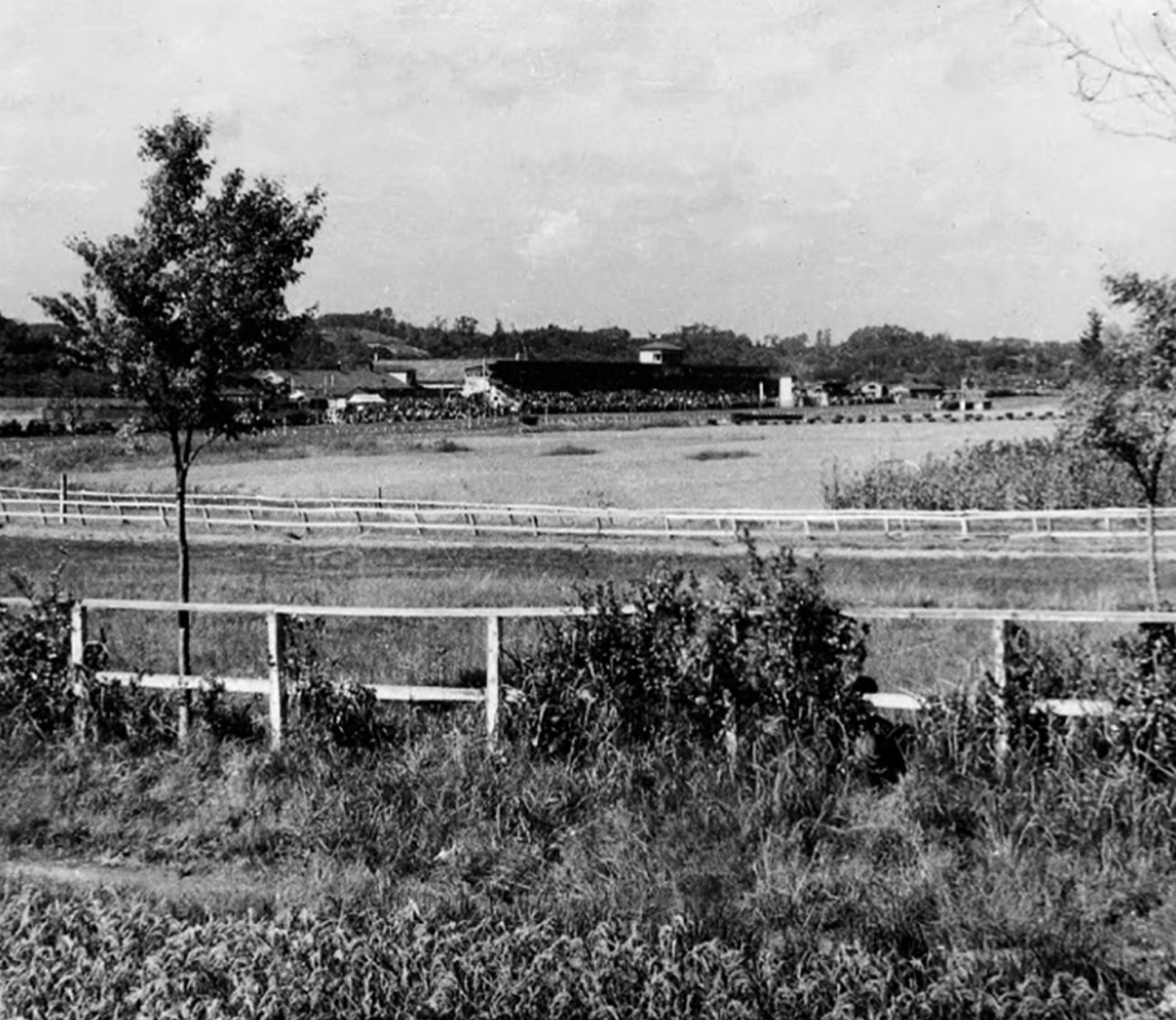 歴史 戸塚競馬場、知ってる？ 汲沢団地あたりに設置 | 戸塚区・泉区 | タウンニュース