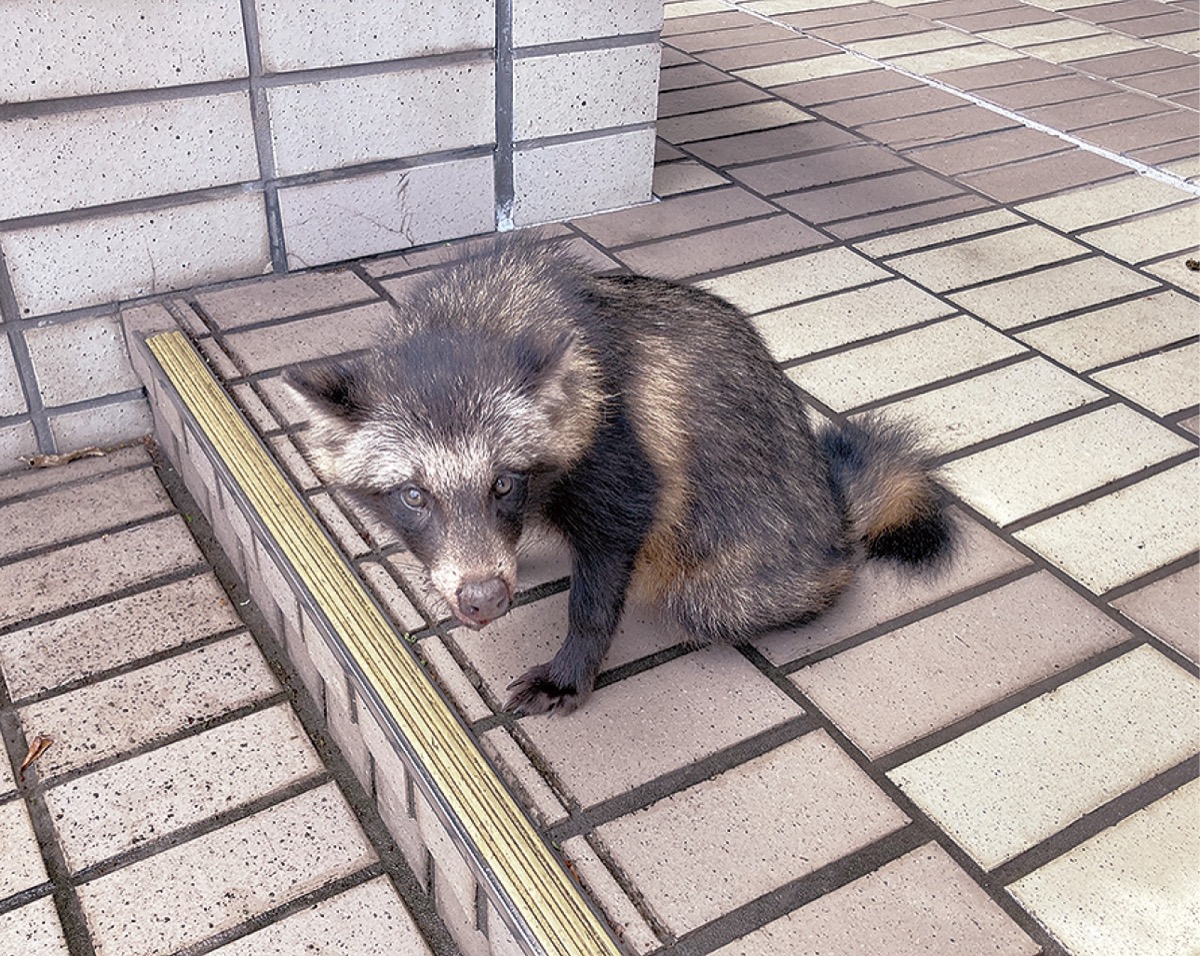 泉公会堂の舞台ウラ