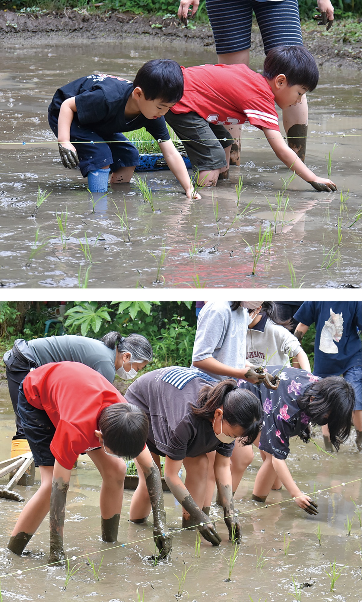 17年続く米づくり今年も
