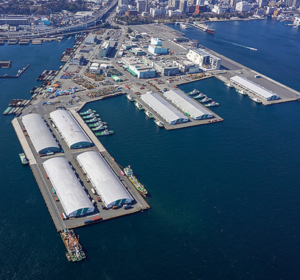 市が意見・提案を再募集