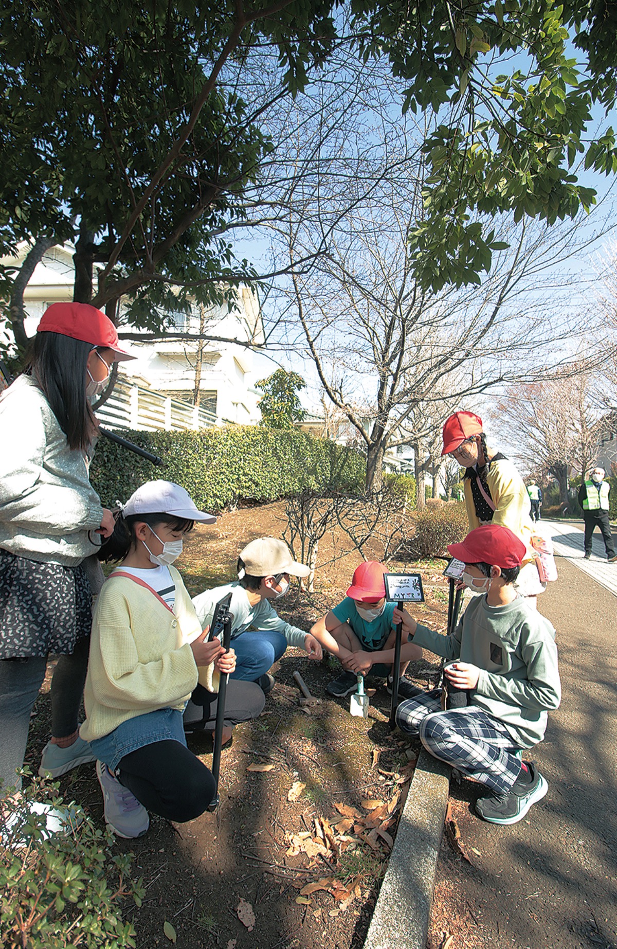 ｢四季の径（みち）｣に児童が樹名板