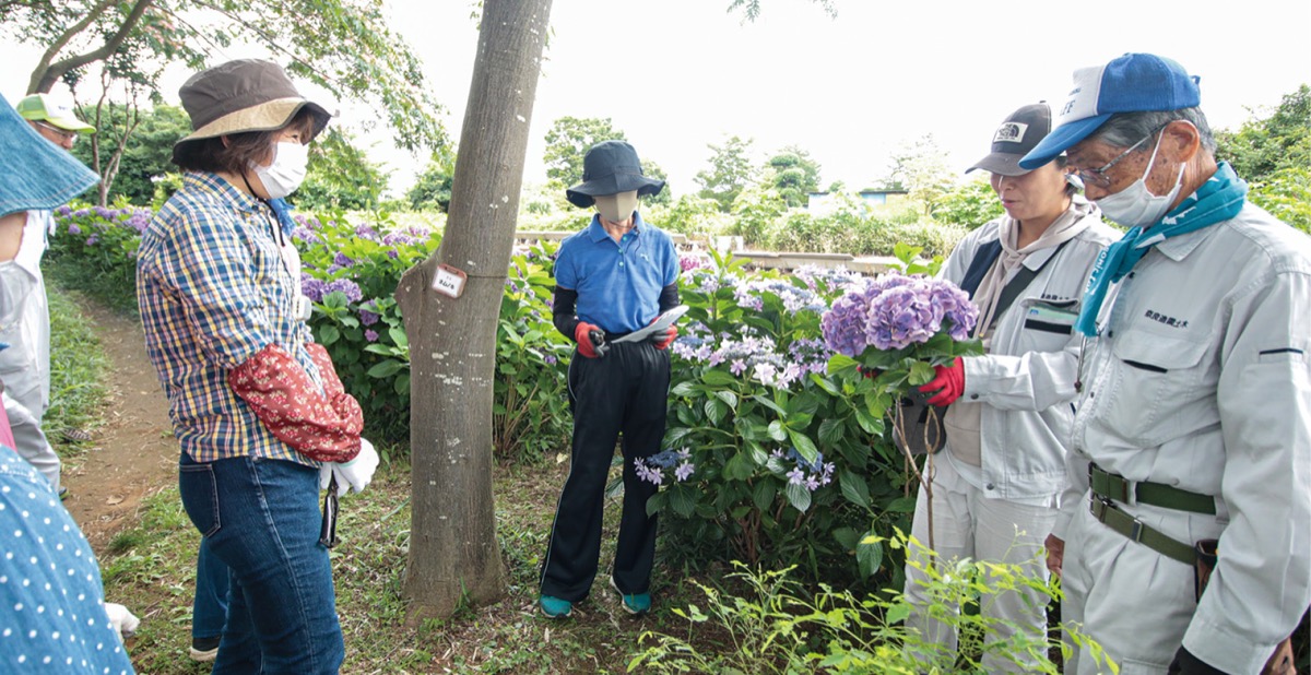 はさみを入れる場所を説明する担当者（右）