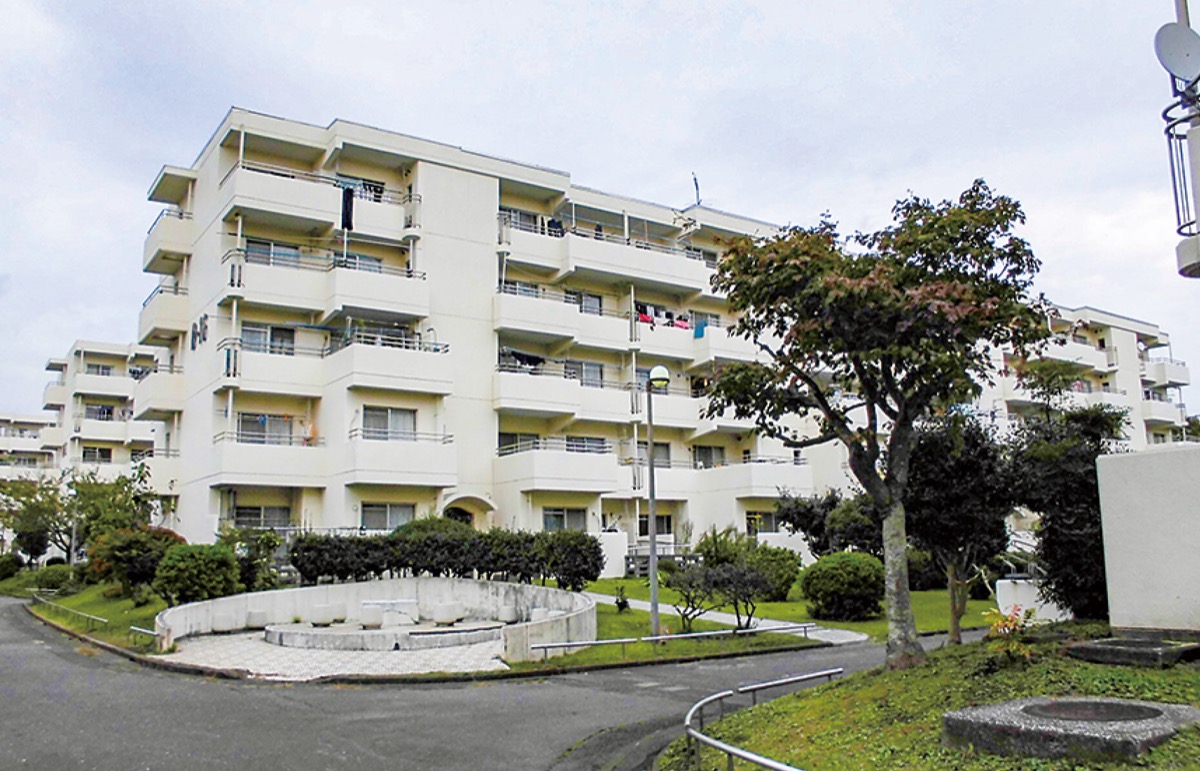 ８月から常時募集