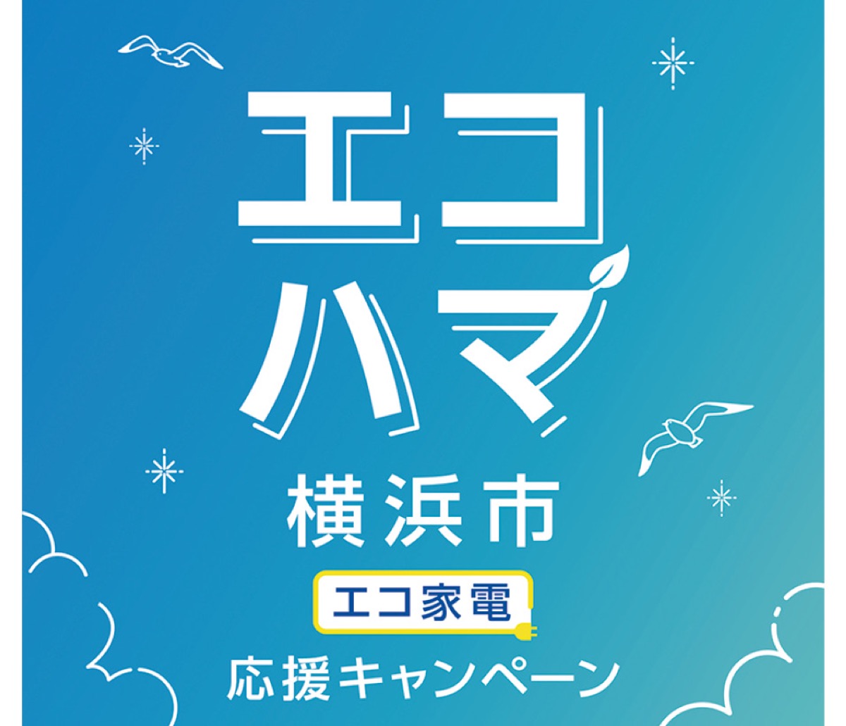 エコ家電購入を応援