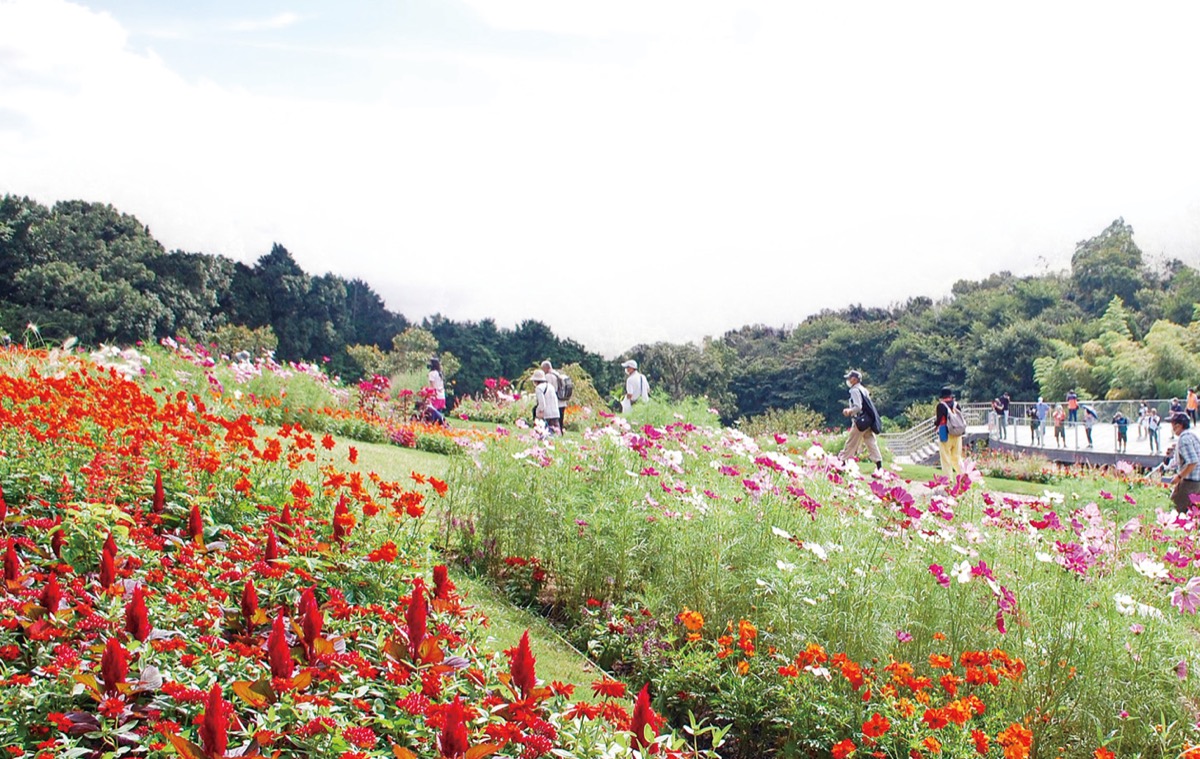 昨秋の里山ガーデン