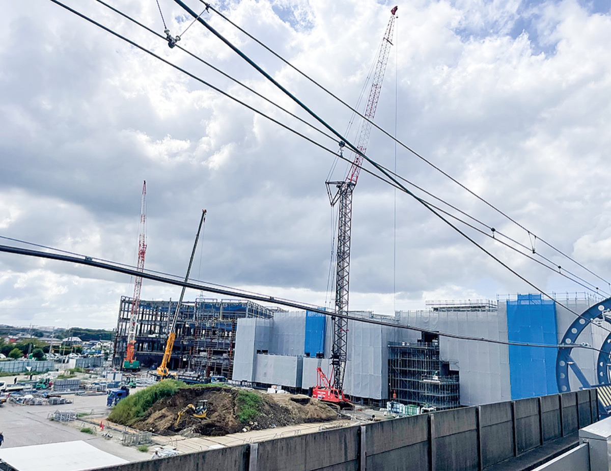 ゆめが丘・定点観測