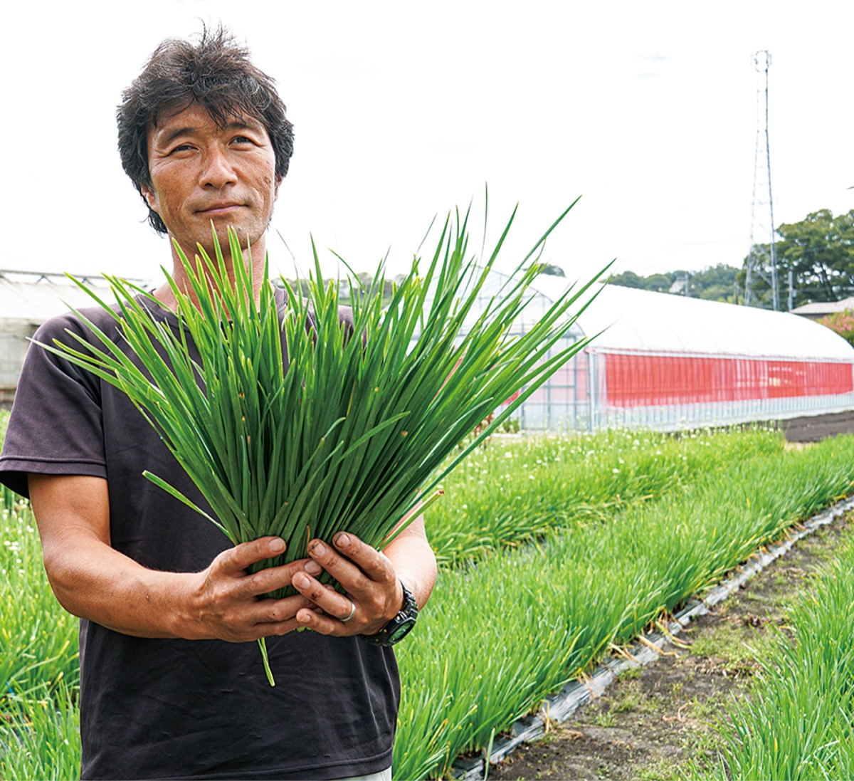 ｢浜ニラ｣への夢に一歩