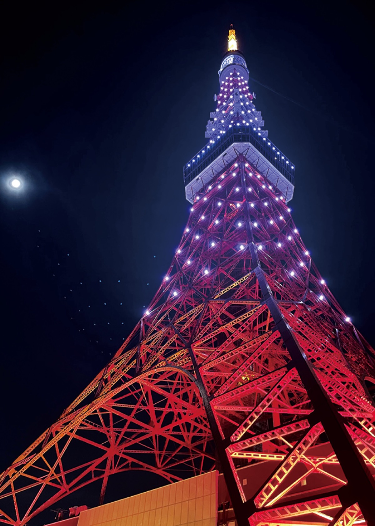 全国各地でライトアップ