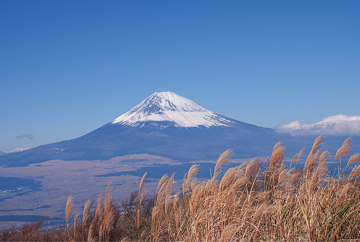 みんなの富士山写真展