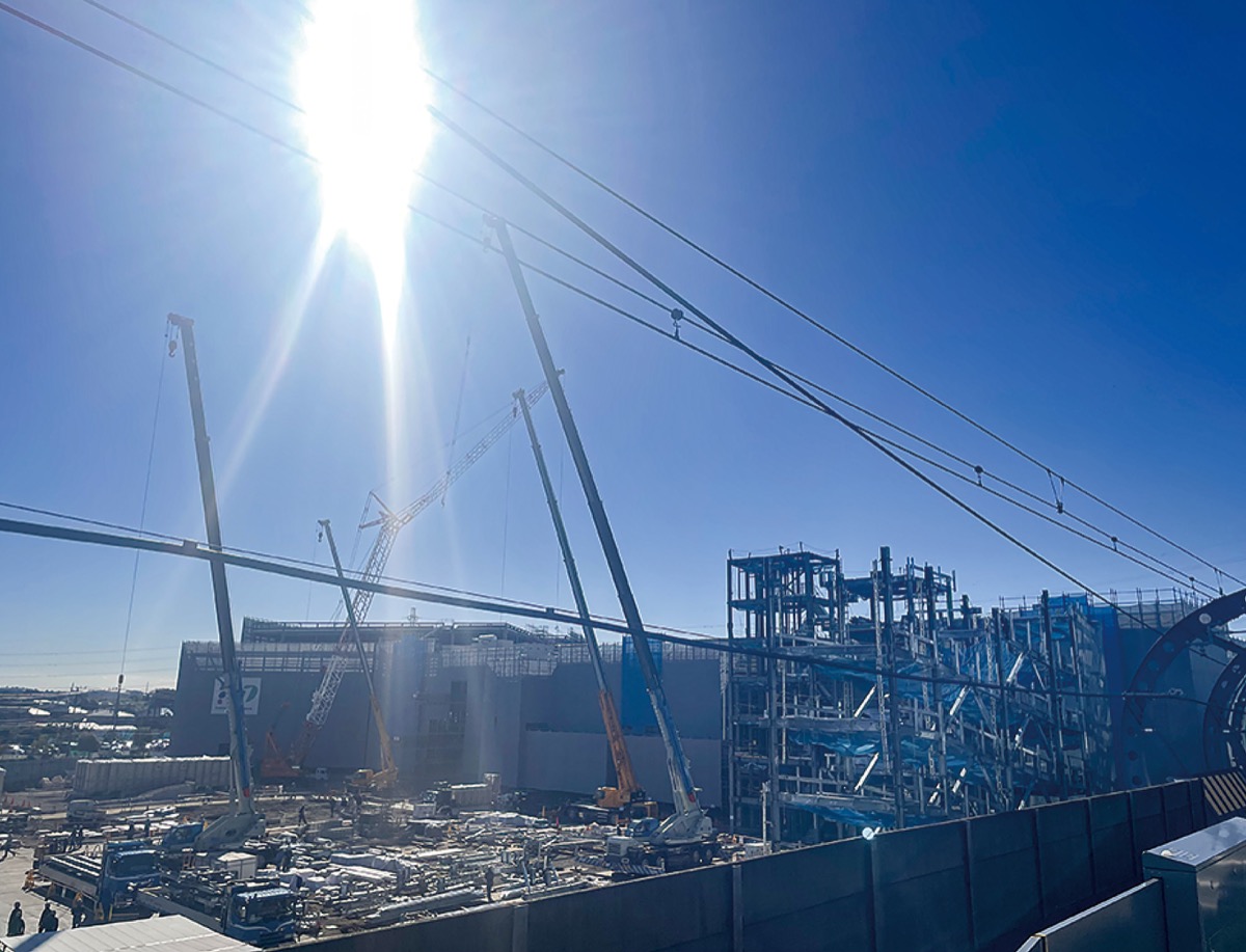 ゆめが丘・定点観測