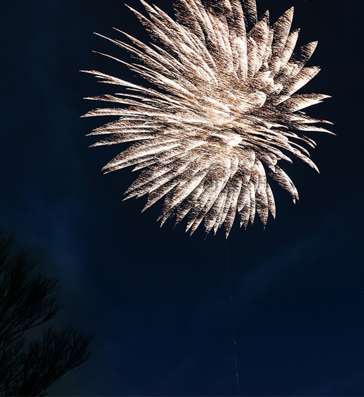 神明台スポーツ広場から打ち上げられた花火