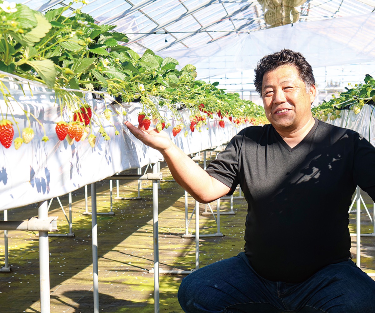 家族みんなで楽しむイチゴ狩り