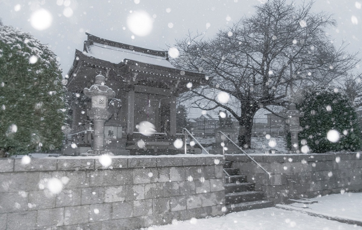 泉区でも６年ぶり雪景色