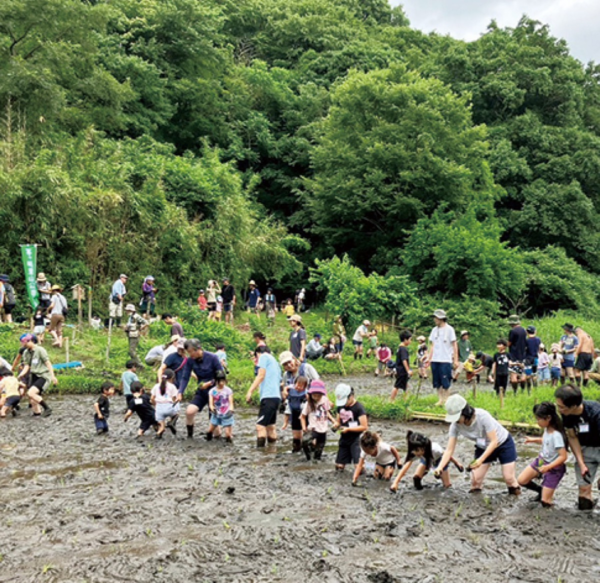会員になって里山満喫