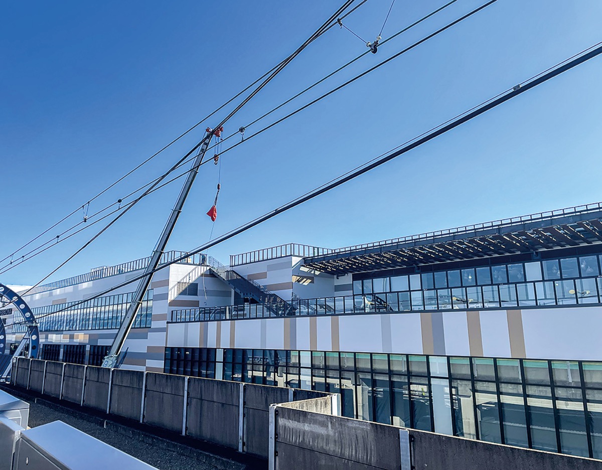 ゆめが丘・定点観測