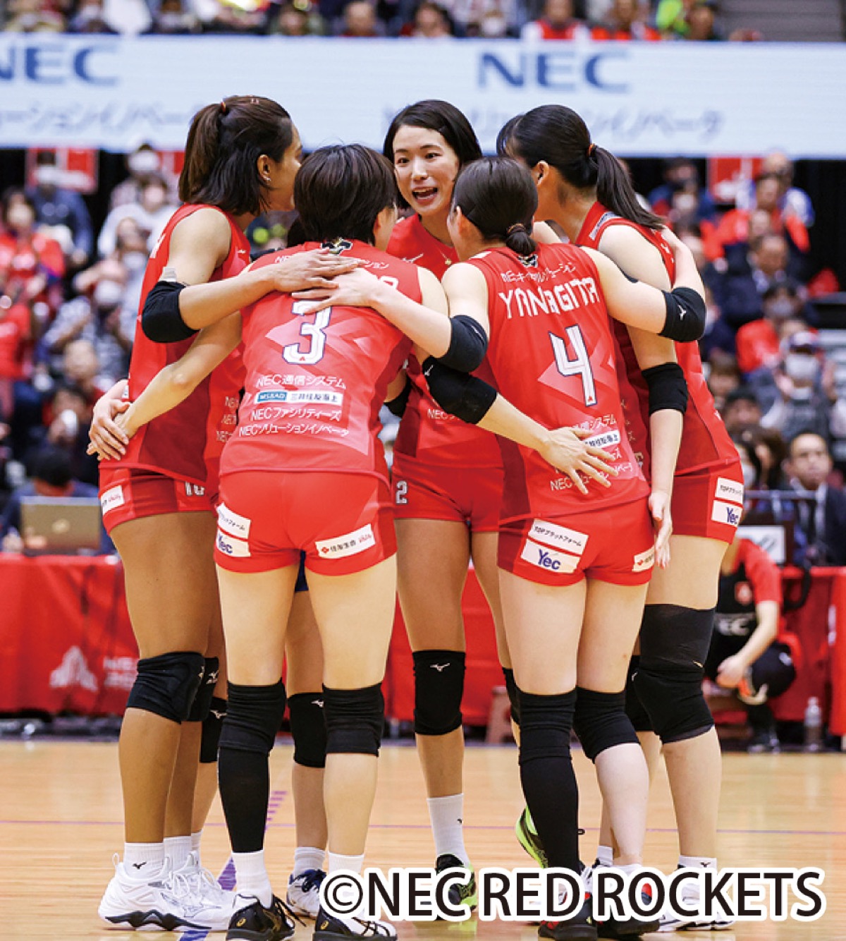 女子バレーを観に行こう