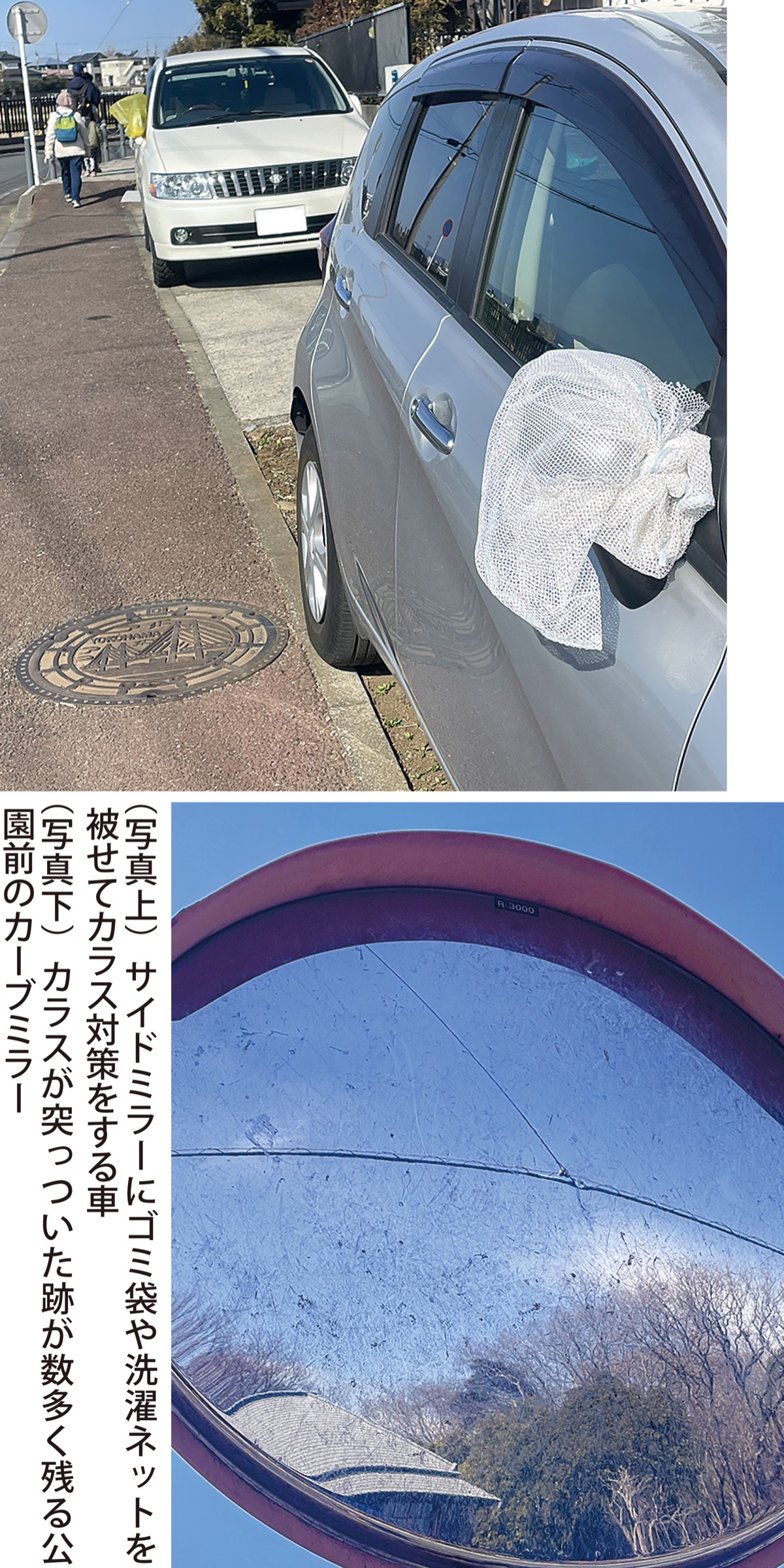 サイドミラーにゴミ袋？