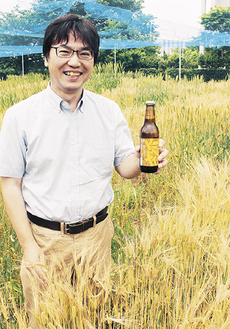 木原研究所の麦畑で、魅力を語る坂教授