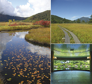 秋の尾瀬 日帰りハイキング