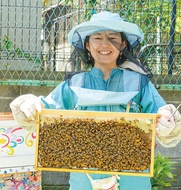 ｢ミツバチに親しんで｣