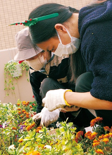 真剣に花を植えかえる生徒（手前）と入居者