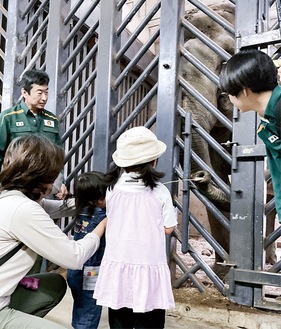 ゾウにりんごをあげる子どもたち