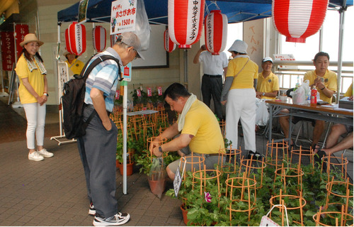 昨年のあさがお市＝提供