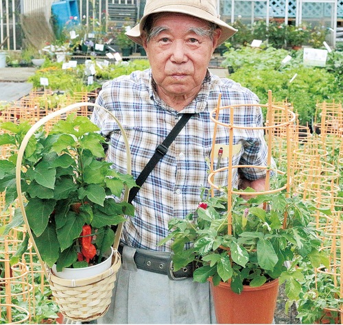 毎年鉢を提供している伊澤さん