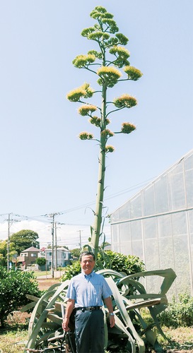 リュウゼツランと北村さん＝７月26日撮影