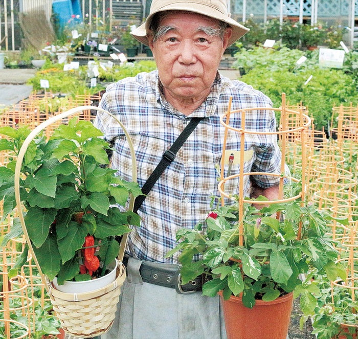 中田地区　38回目の朝顔・ほおずき市　「花や館いざわ」で11日・12日