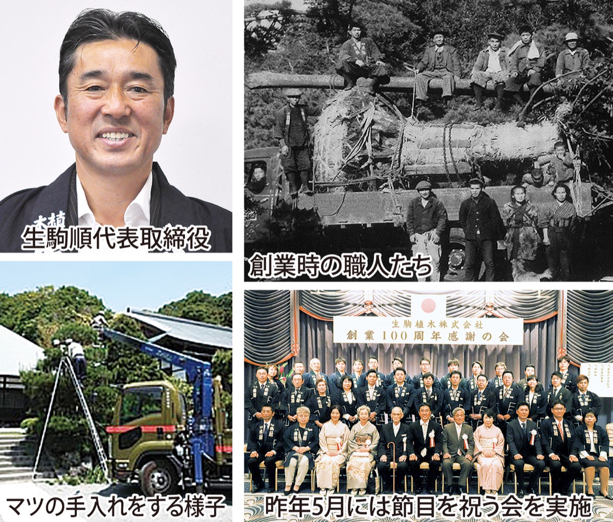 ツツジ生産から始まり100年伝統と革新の融合で次世代へ 生駒植木株式会社 戸塚区 タウンニュース