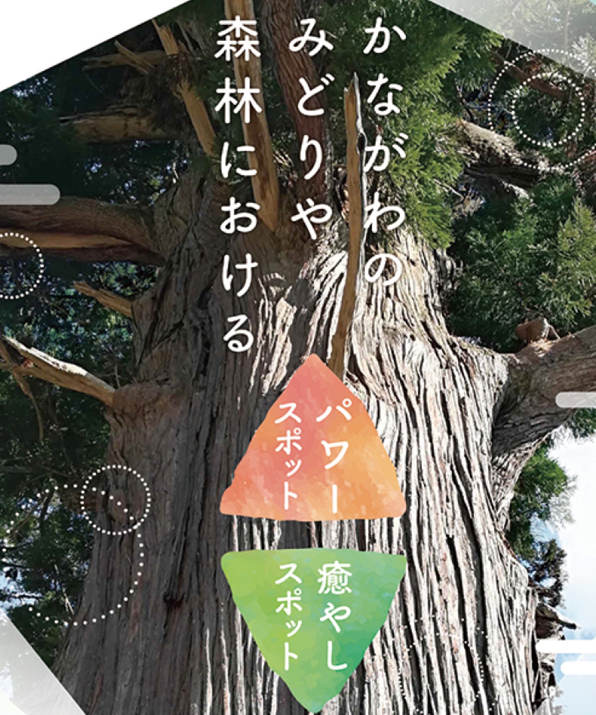 配布されているパンフレット