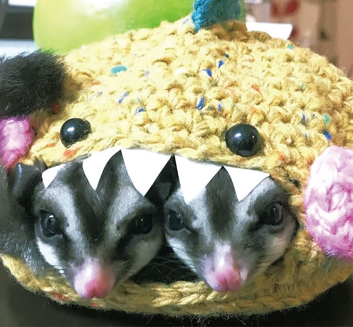 とつか動物園コーナー　Vol.２